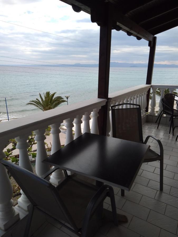 Polychrono Beach Hotel المظهر الخارجي الصورة